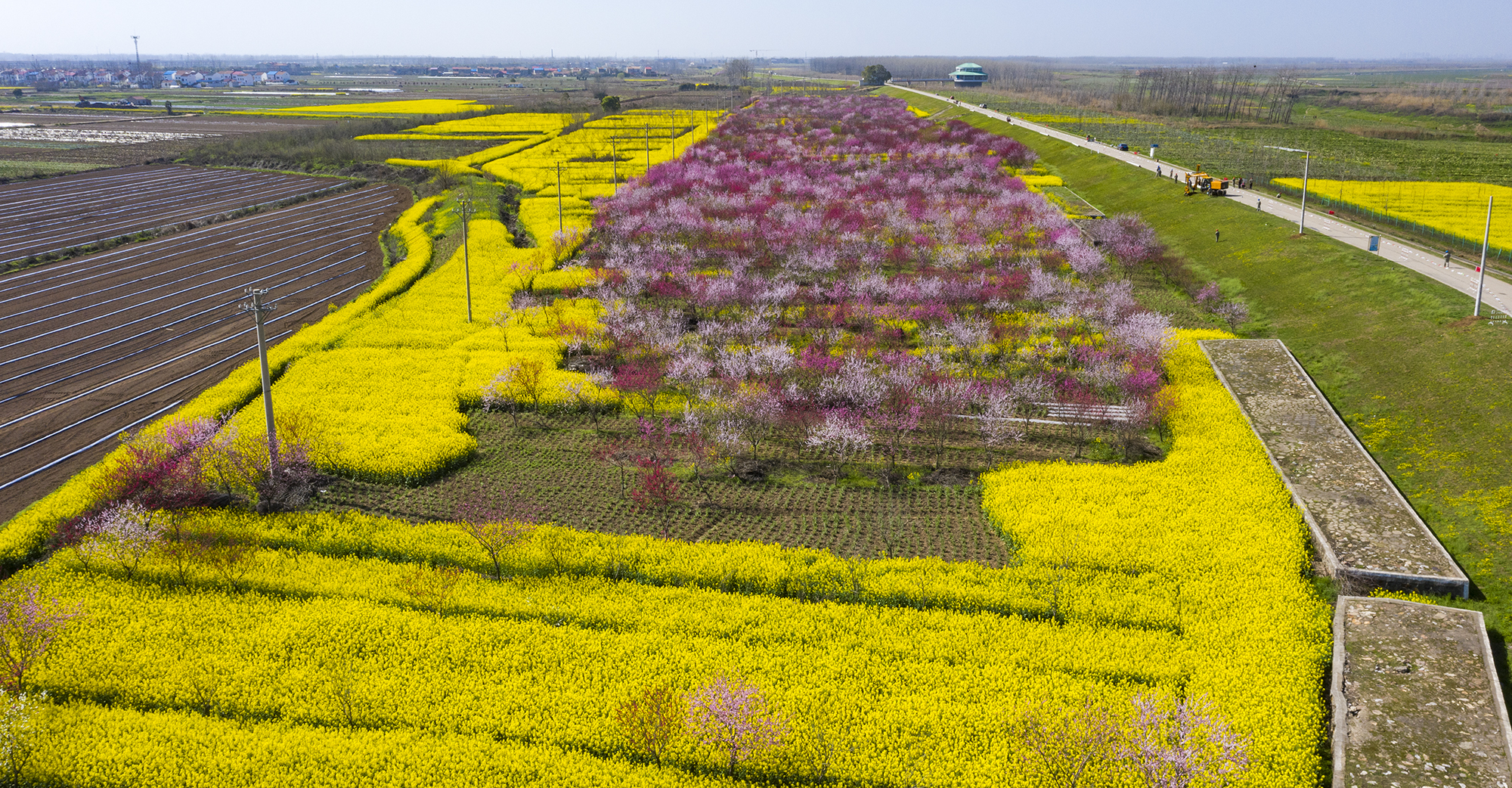 DJI_0084雷平.jpg